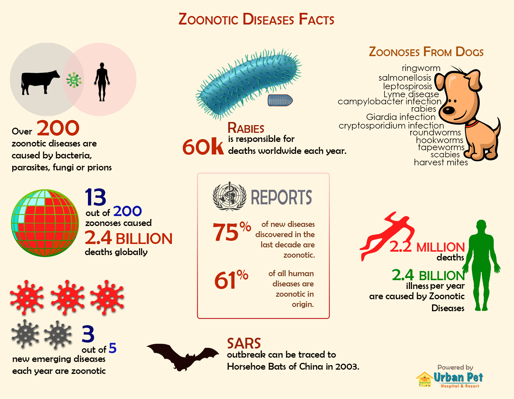 zoonotic disease infographic